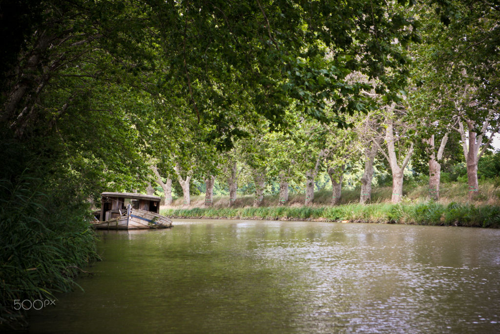 A barge moored under plane trees on the Canal du Midi